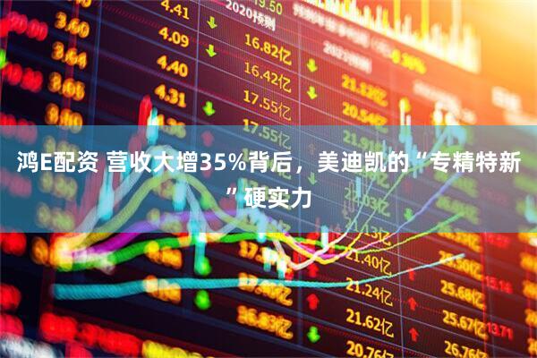 鸿E配资 营收大增35%背后，美迪凯的“专精特新”硬实力