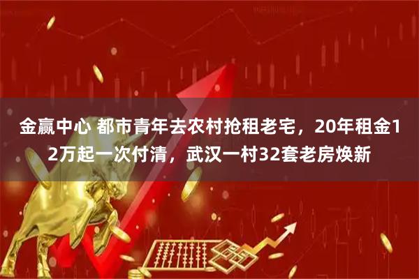 金赢中心 都市青年去农村抢租老宅，20年租金12万起一次付清，武汉一村32套老房焕新
